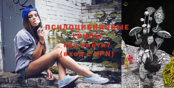 мяу мяу мука Елизово