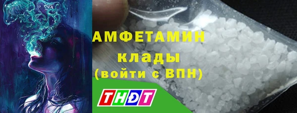 меф Ельня