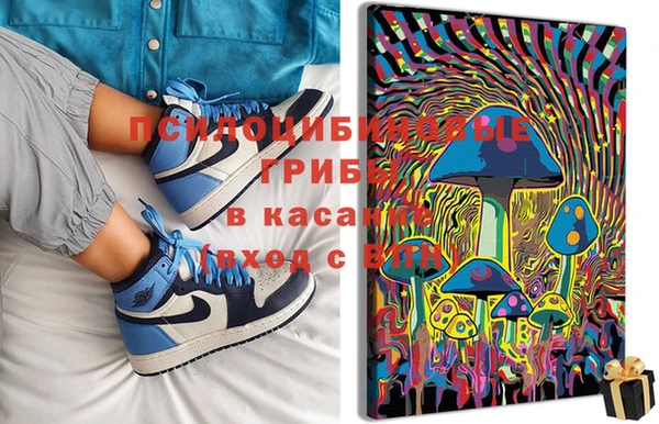 прущие крисы Елабуга