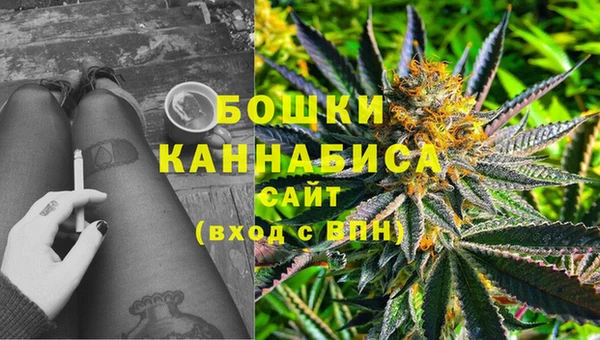 прущие крисы Елабуга