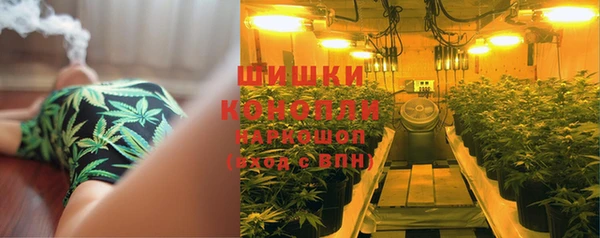 прущие крисы Елабуга