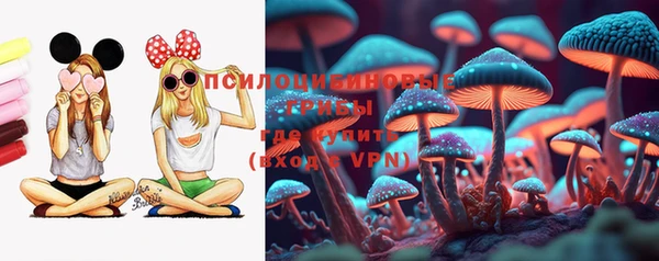меф Ельня